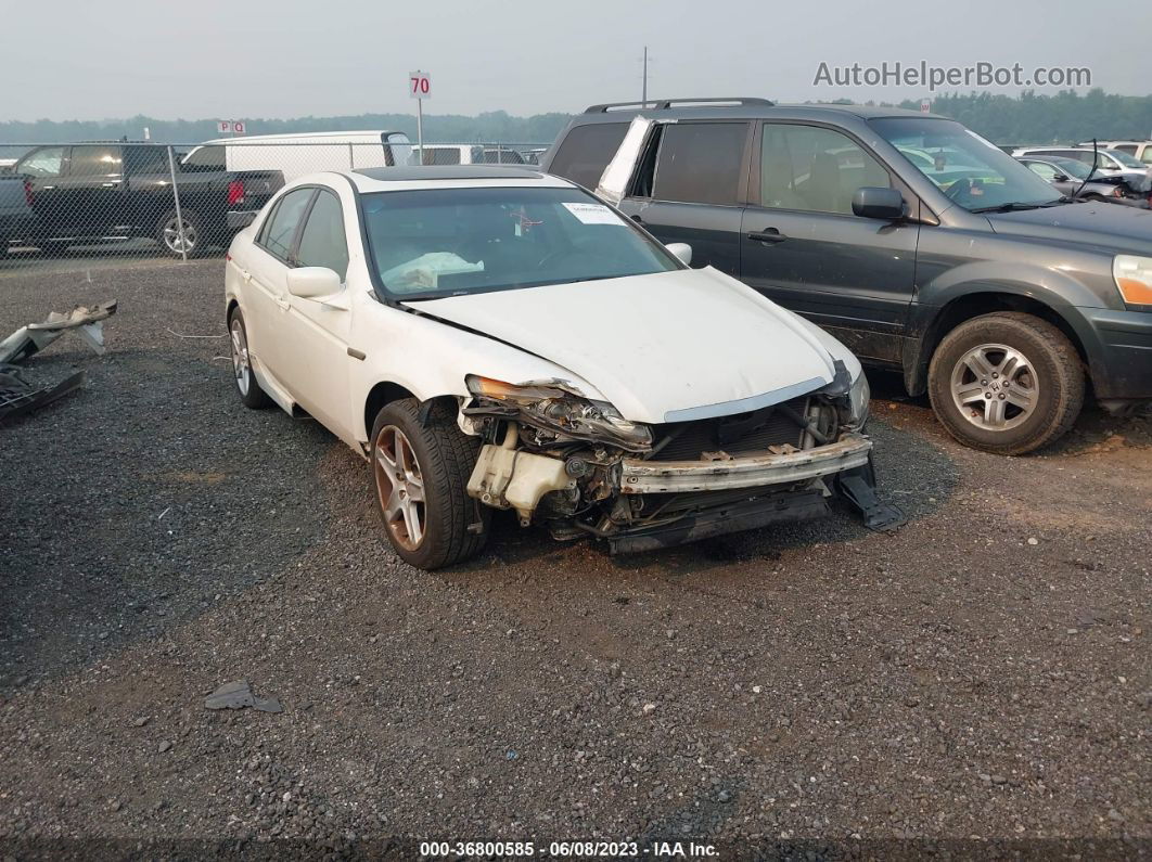 2005 Acura Tl   White vin: 19UUA66235A011104