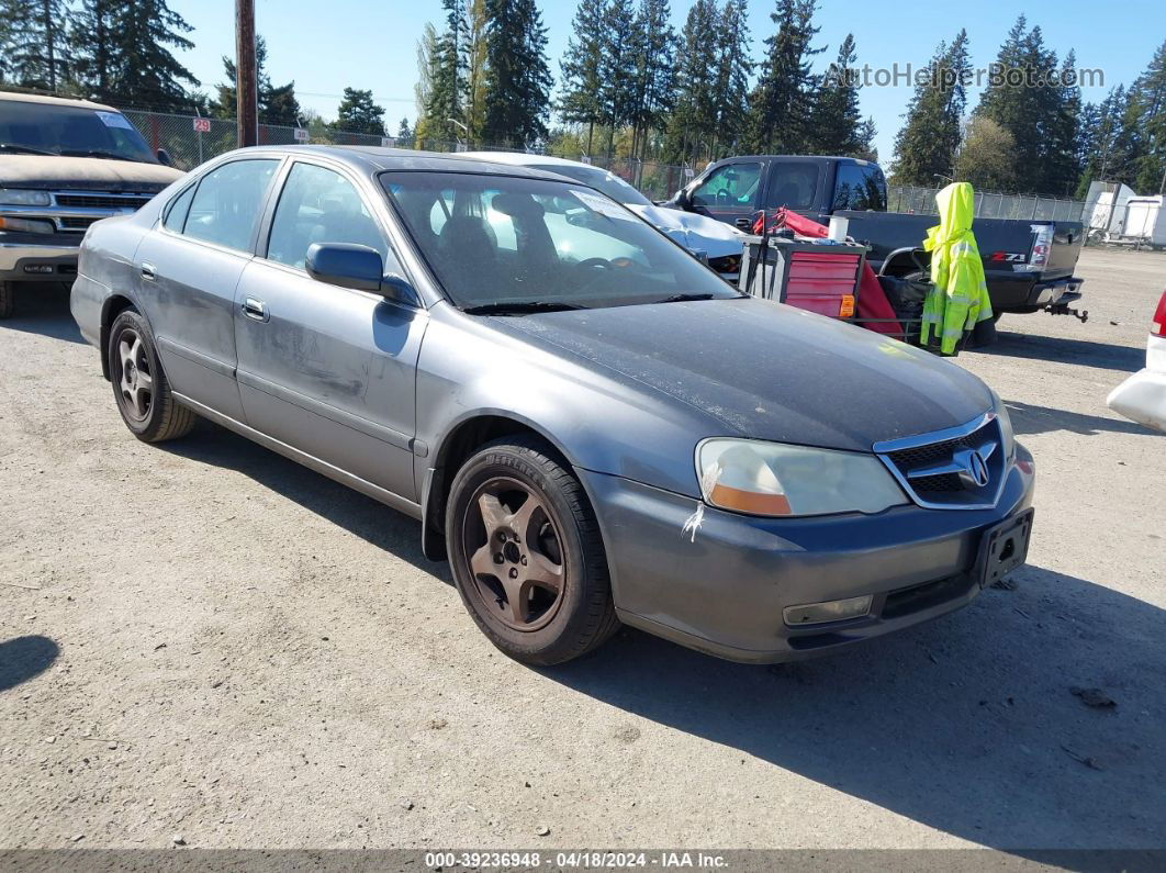 2002 Acura Tl 3.2 Gray vin: 19UUA56602A010498