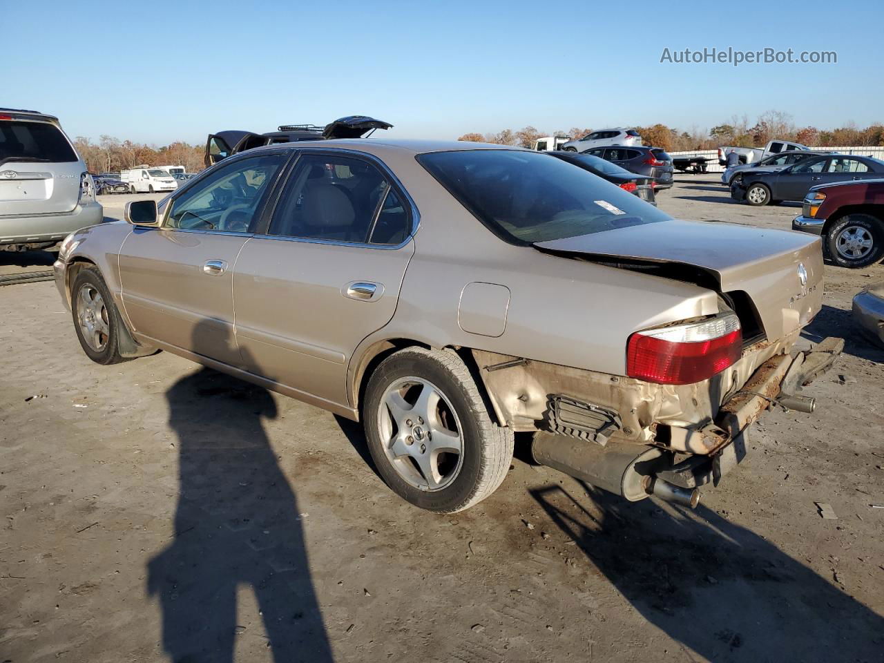 2002 Acura 3.2tl  Бежевый vin: 19UUA56602A031285