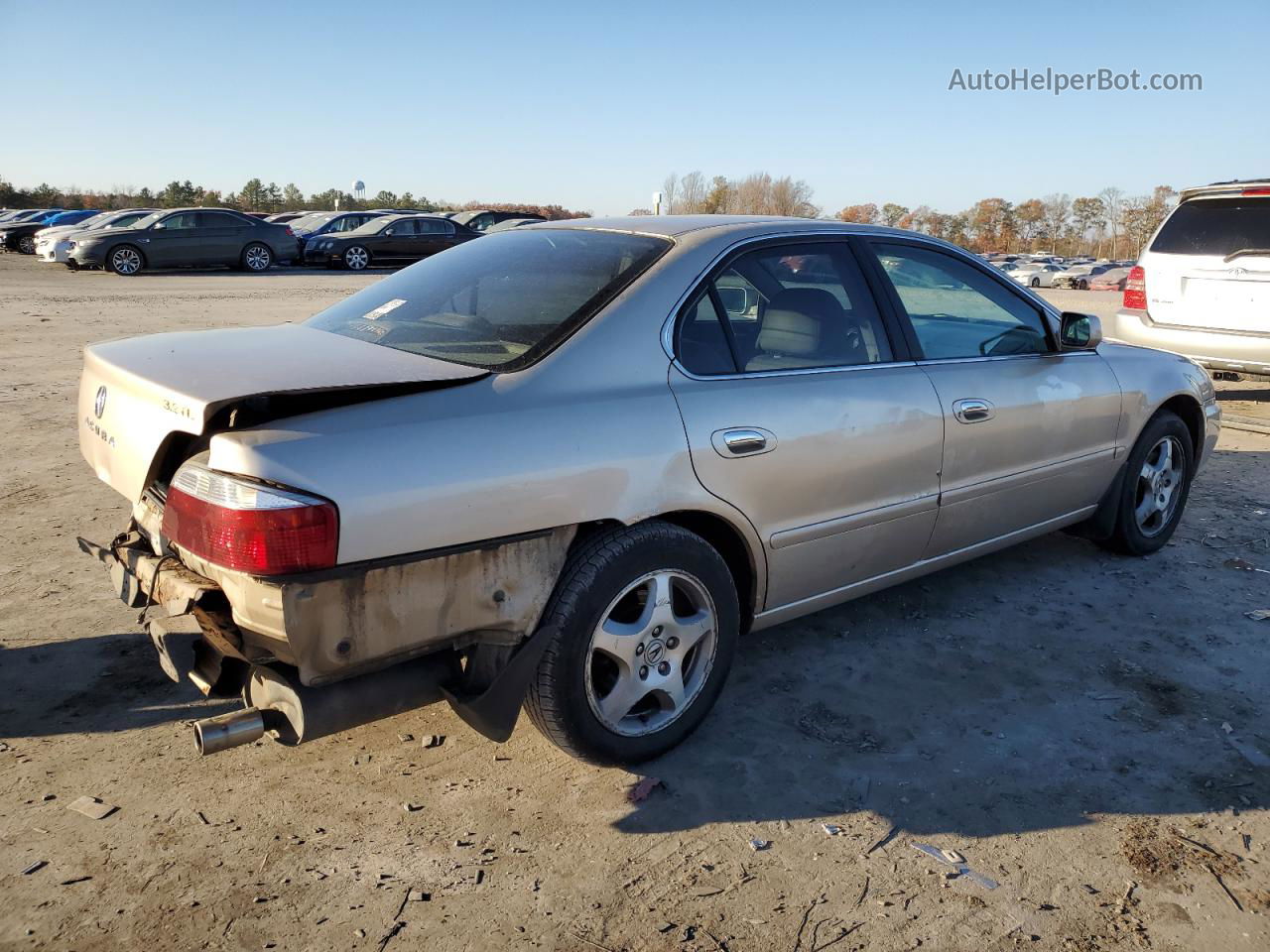 2002 Acura 3.2tl  Бежевый vin: 19UUA56602A031285