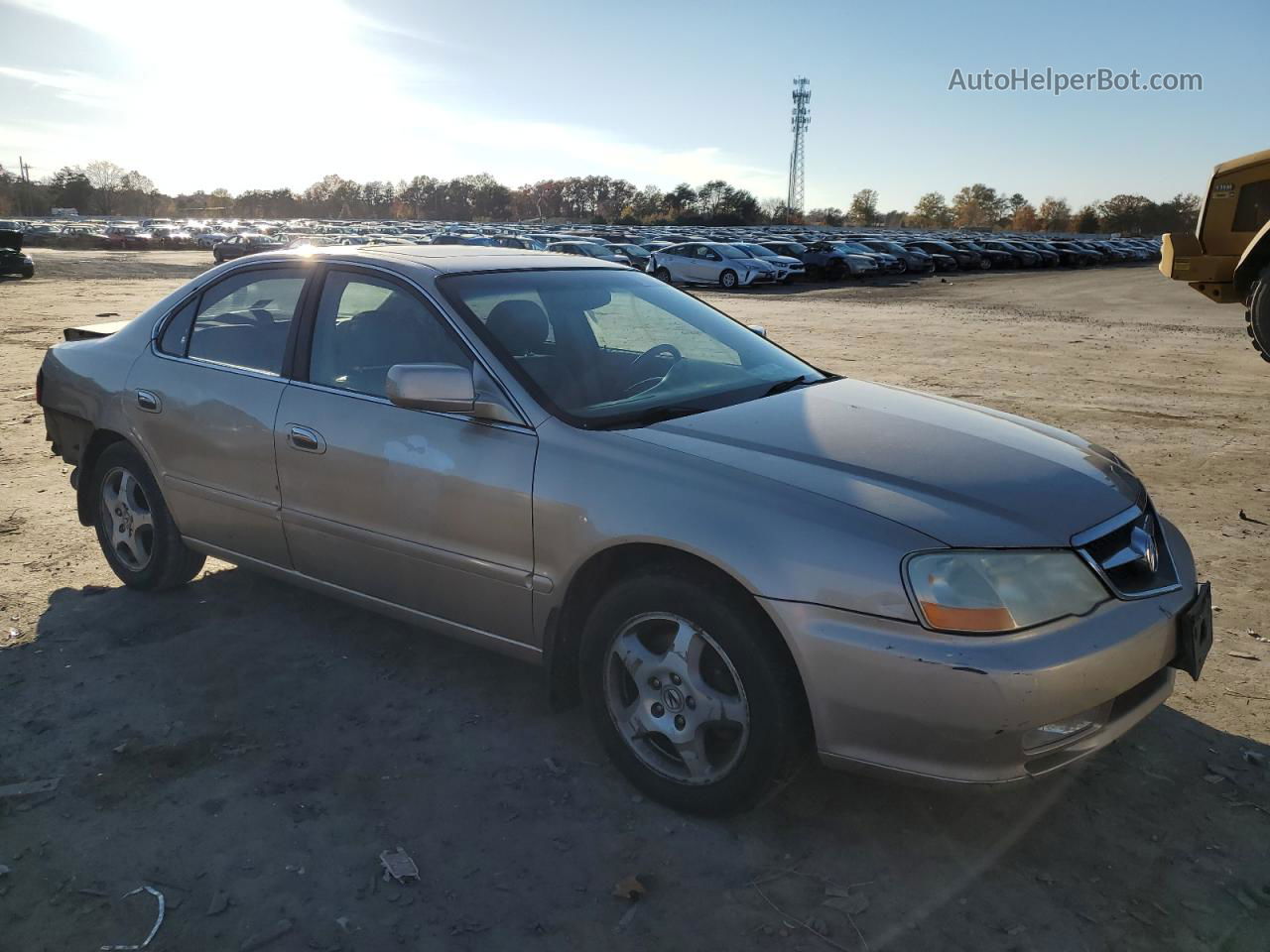 2002 Acura 3.2tl  Бежевый vin: 19UUA56602A031285