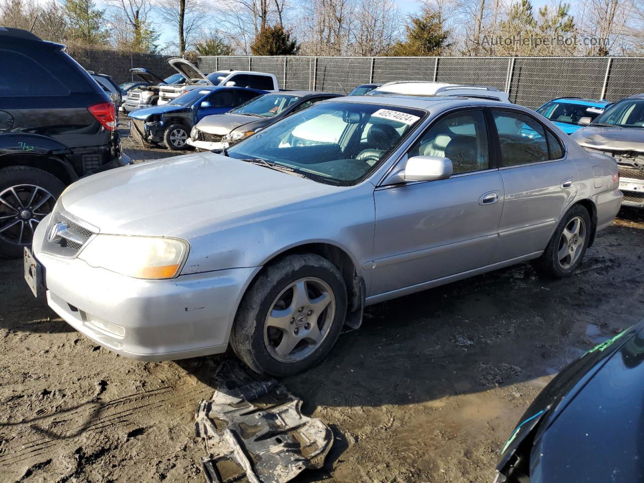 2002 Acura 3.2tl  Silver vin: 19UUA56632A035301