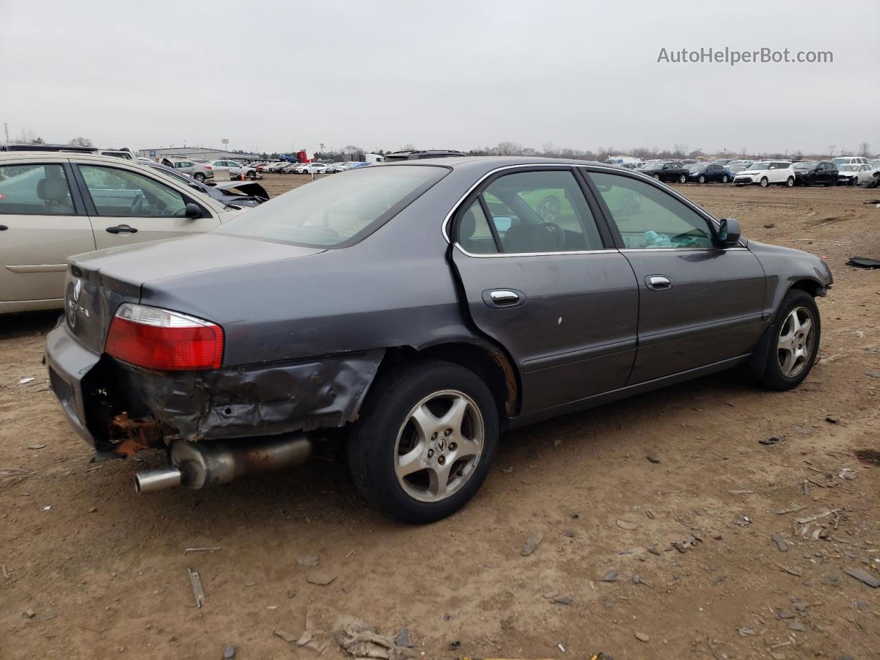 2002 Acura 3.2tl  Серый vin: 19UUA56652A006611