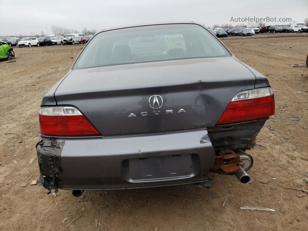 2002 Acura 3.2tl  Серый vin: 19UUA56652A006611