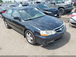 2002 Acura Tl 3.2 Black vin: 19UUA56662A008075