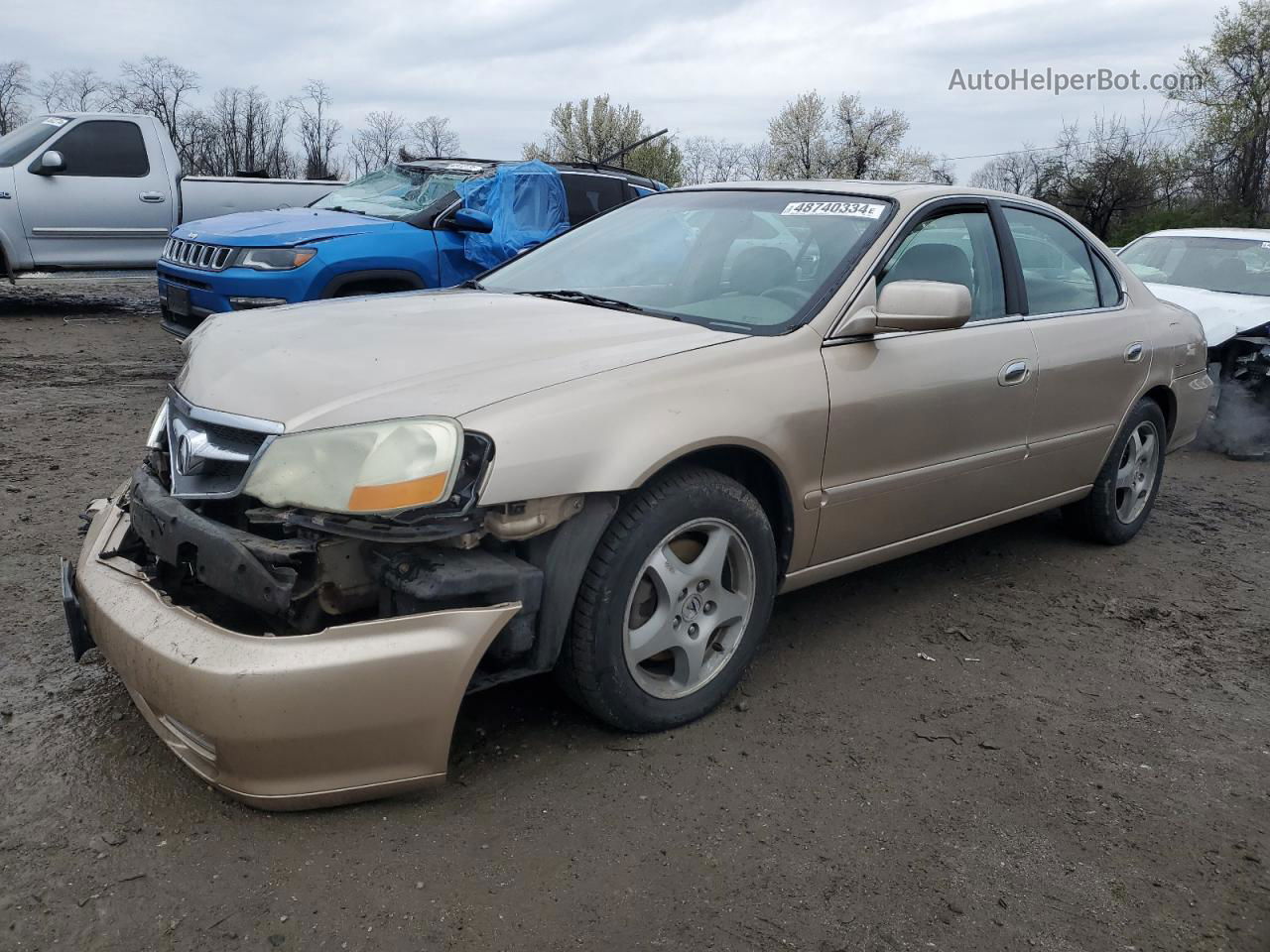 2002 Acura 3.2tl  Tan vin: 19UUA56672A061609