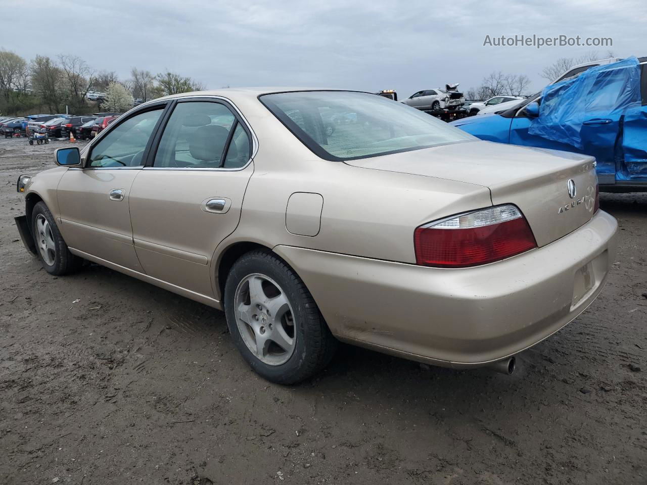 2002 Acura 3.2tl  Желто-коричневый vin: 19UUA56672A061609