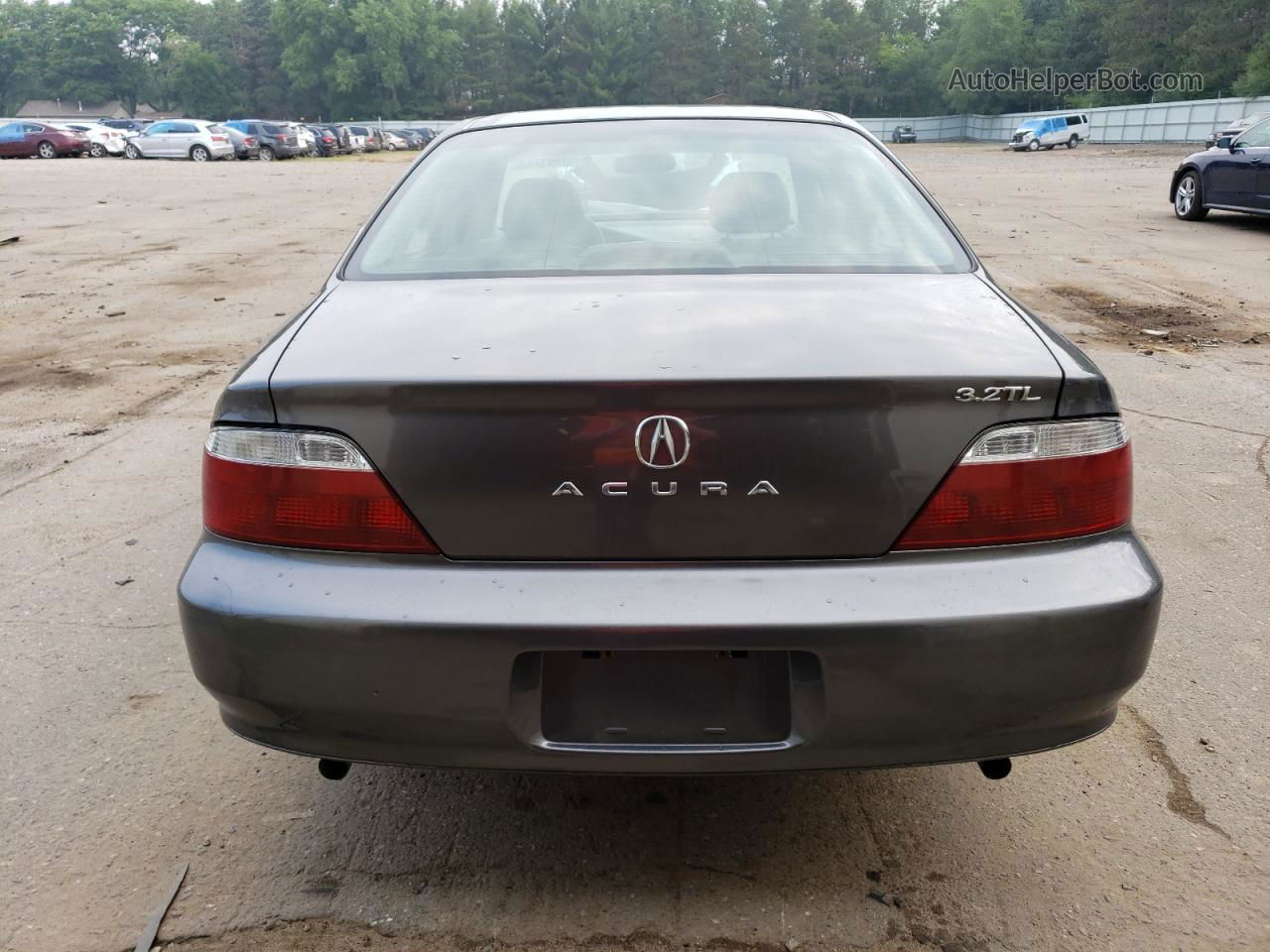 2002 Acura 3.2tl  Gray vin: 19UUA56682A031051