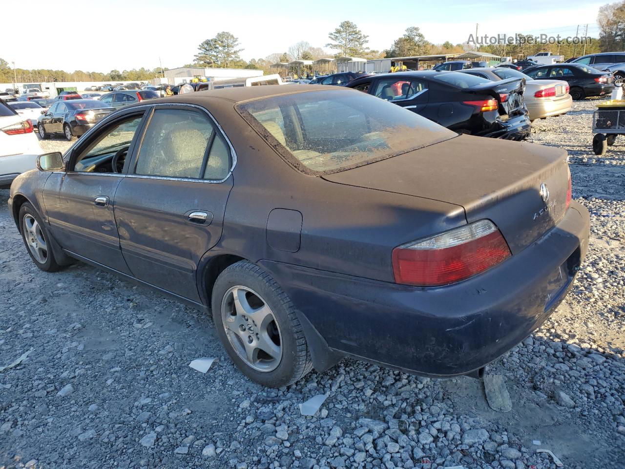 2002 Acura 3.2tl  Blue vin: 19UUA56682A053292