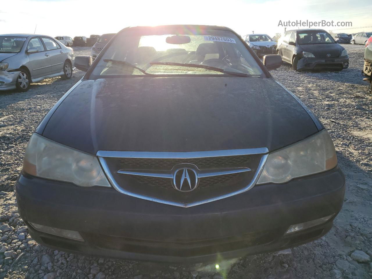 2002 Acura 3.2tl  Blue vin: 19UUA56682A053292