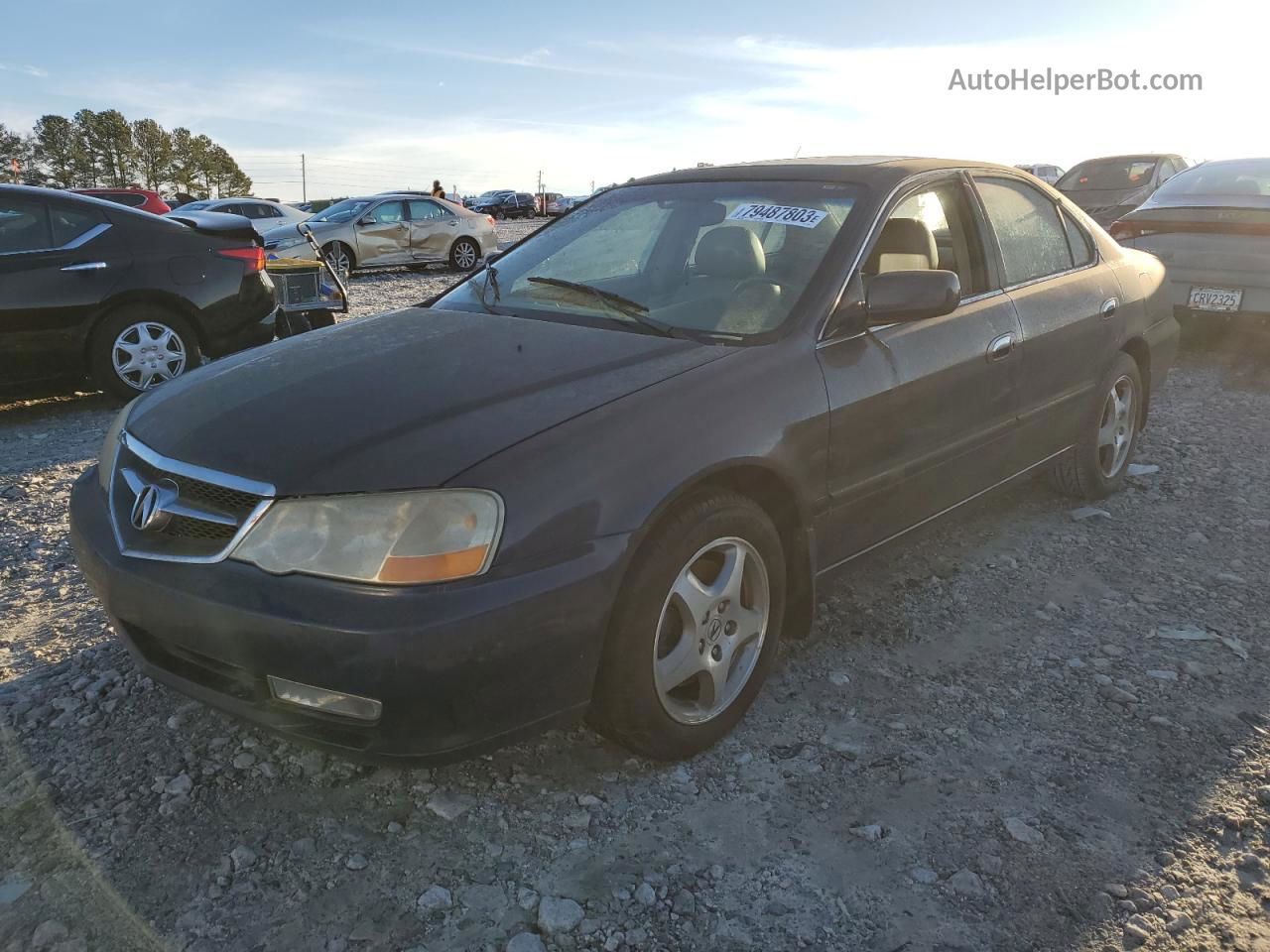 2002 Acura 3.2tl  Blue vin: 19UUA56682A053292