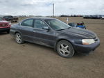 2002 Acura 3.2tl  Gray vin: 19UUA56682A802740