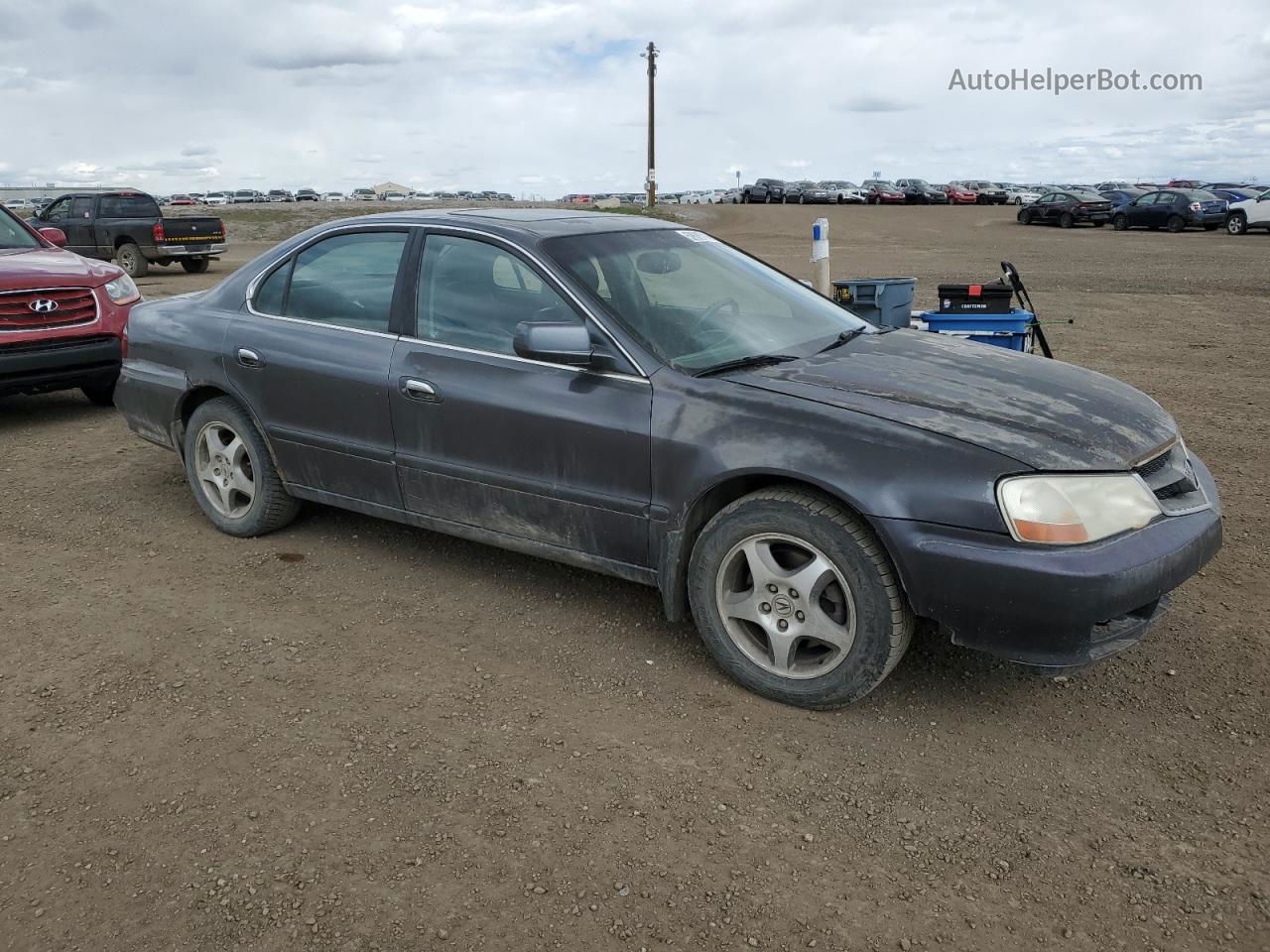 2002 Acura 3.2tl  Gray vin: 19UUA56682A802740