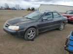 2002 Acura 3.2tl  Gray vin: 19UUA56682A802740