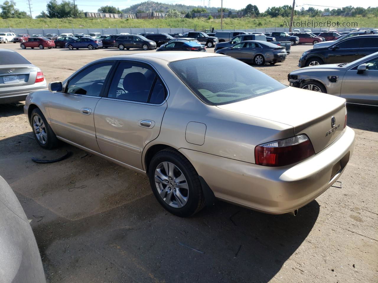 2002 Acura 3.2tl  Gold vin: 19UUA56692A019958