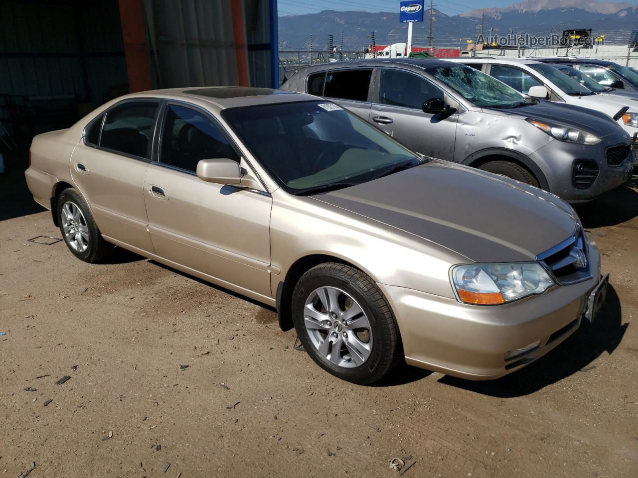 2002 Acura 3.2tl  Gold vin: 19UUA56692A019958