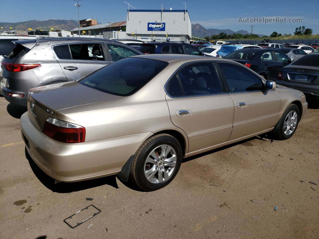 2002 Acura 3.2tl  Gold vin: 19UUA56692A019958