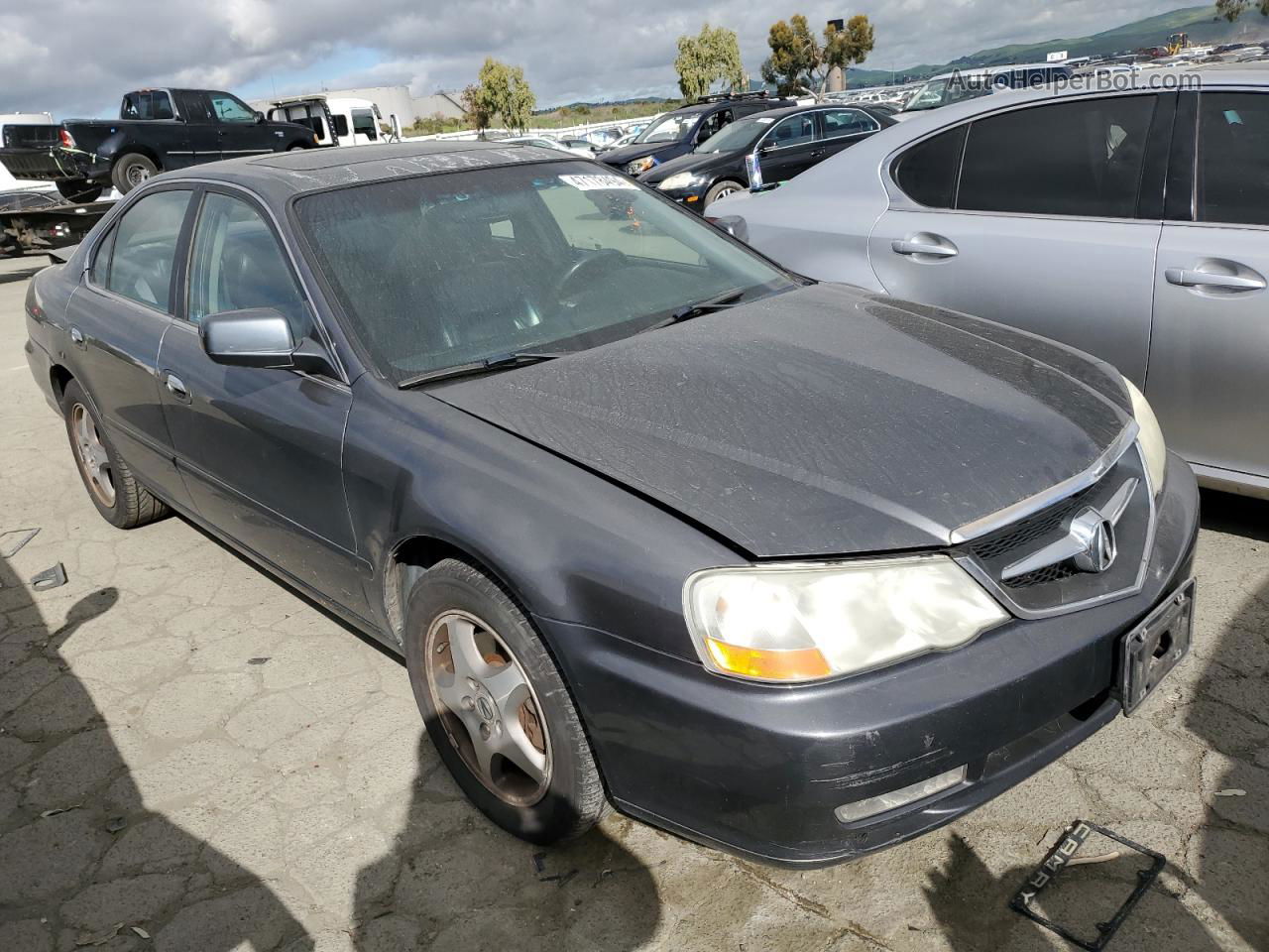 2002 Acura 3.2tl  Gray vin: 19UUA56692A030457