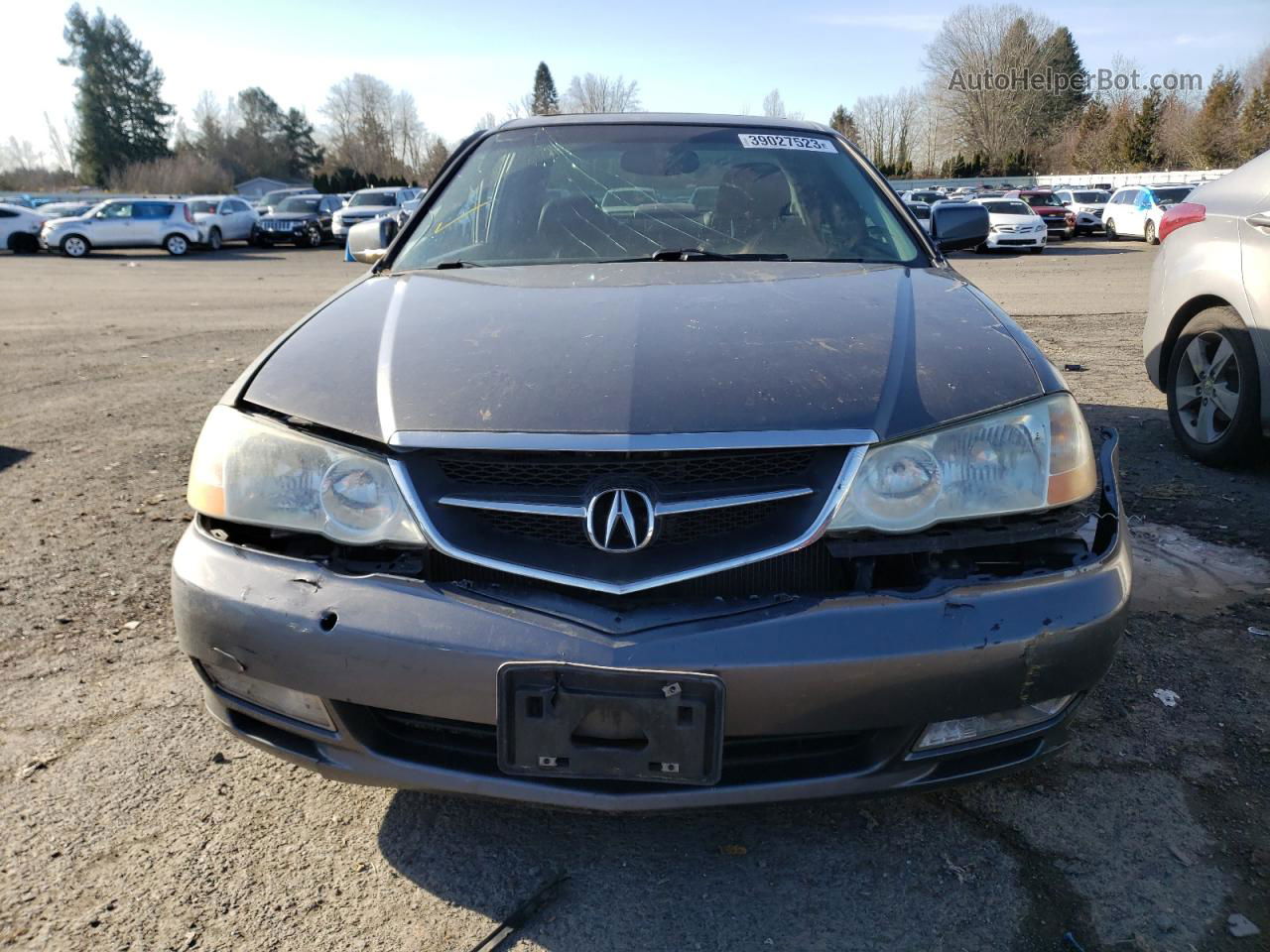 2002 Acura 3.2tl  Gray vin: 19UUA56702A022174