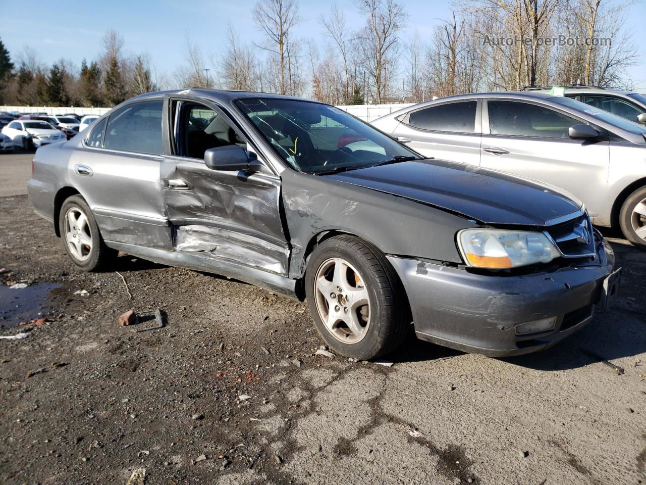 2002 Acura 3.2tl  Gray vin: 19UUA56702A022174