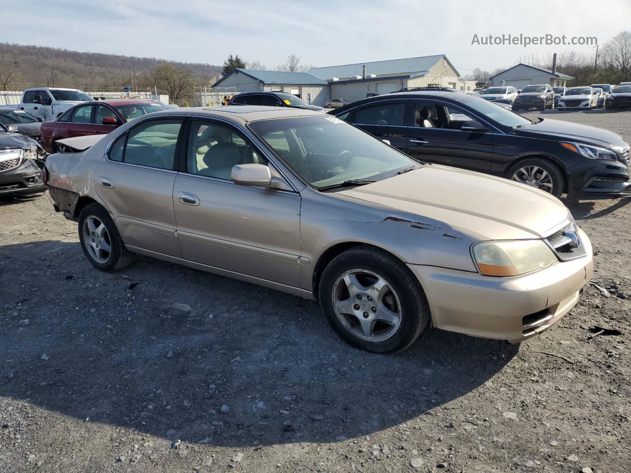 2002 Acura 3.2tl  Gold vin: 19UUA56732A006034