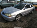 2002 Acura Tl Type S Silver vin: 19UUA56892A043033