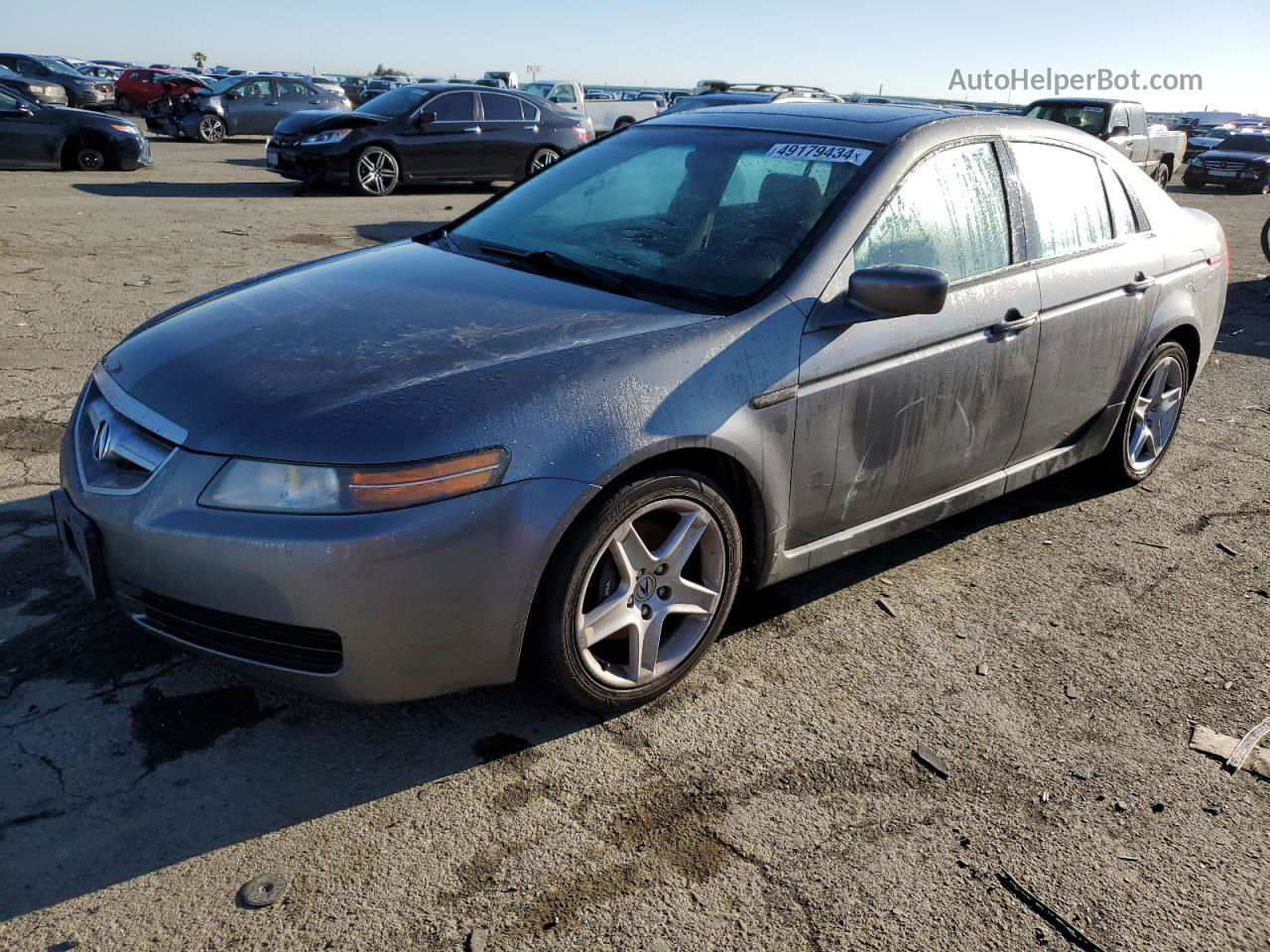 2005 Acura Tl  Серый vin: 19UUA65535A065045