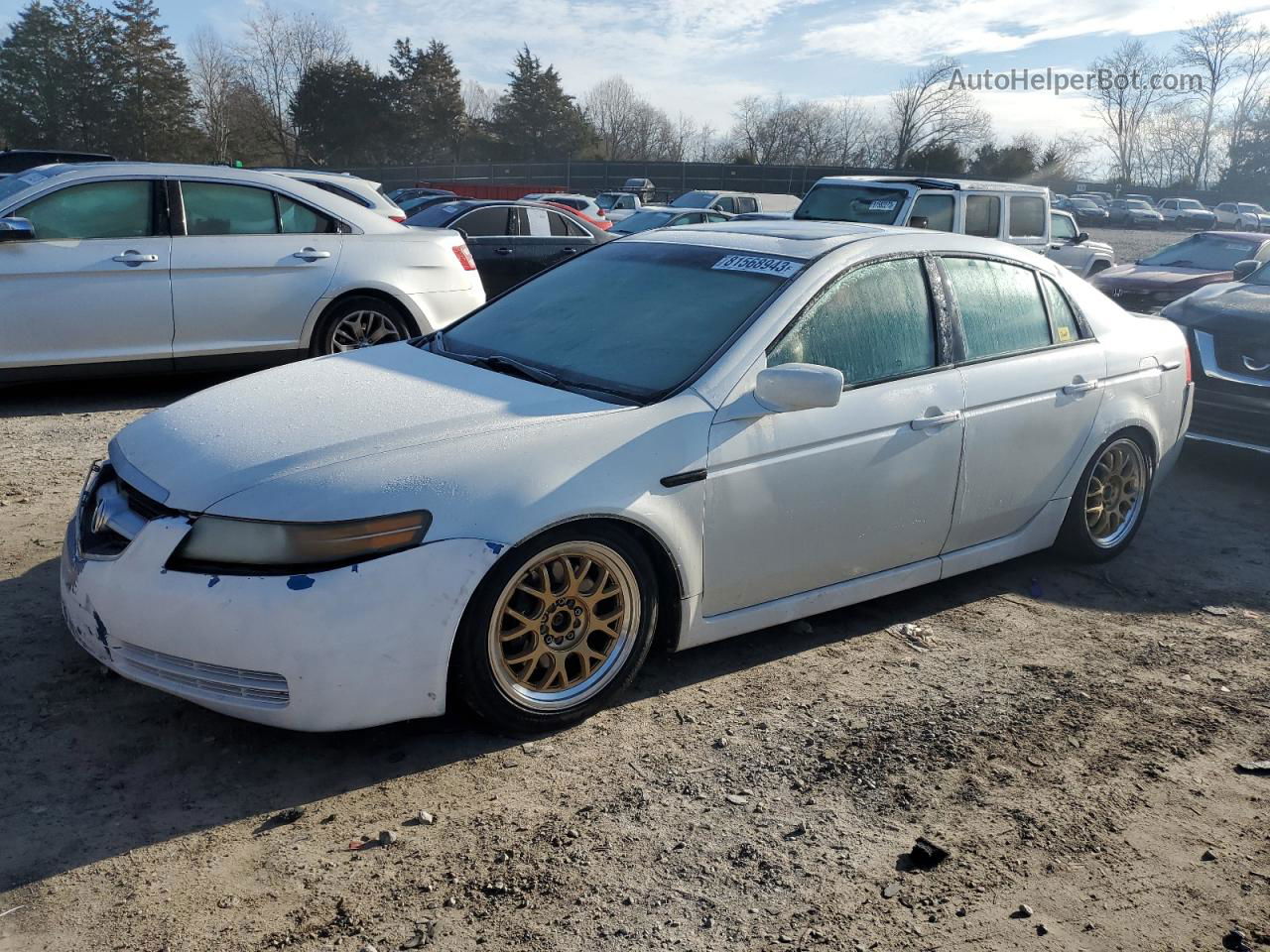 2005 Acura Tl  White vin: 19UUA65575A005835