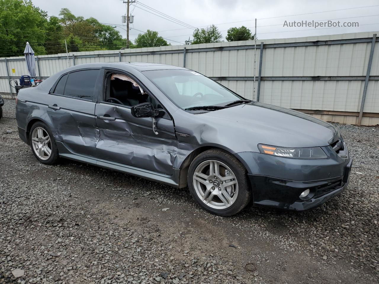 2005 Acura Tl  Gray vin: 19UUA65595A041946