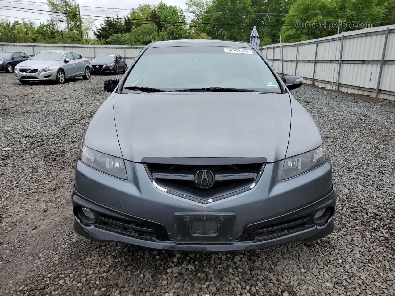 2005 Acura Tl  Серый vin: 19UUA65595A041946