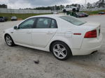 2005 Acura Tl  White vin: 19UUA655X5A018661