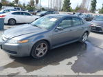 2005 Acura Tl   Серый vin: 19UUA65685A073151