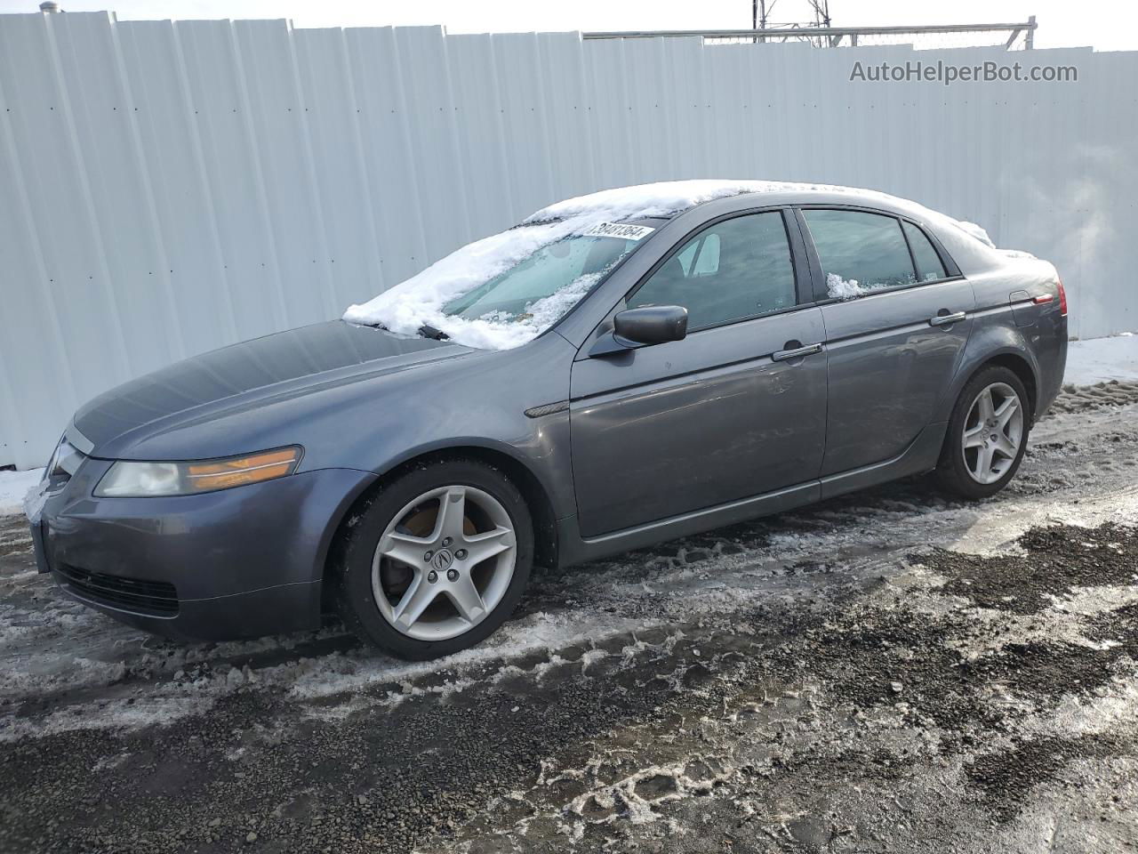 2005 Acura Tl  Gray vin: 19UUA66205A002778