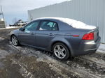 2005 Acura Tl  Gray vin: 19UUA66205A002778