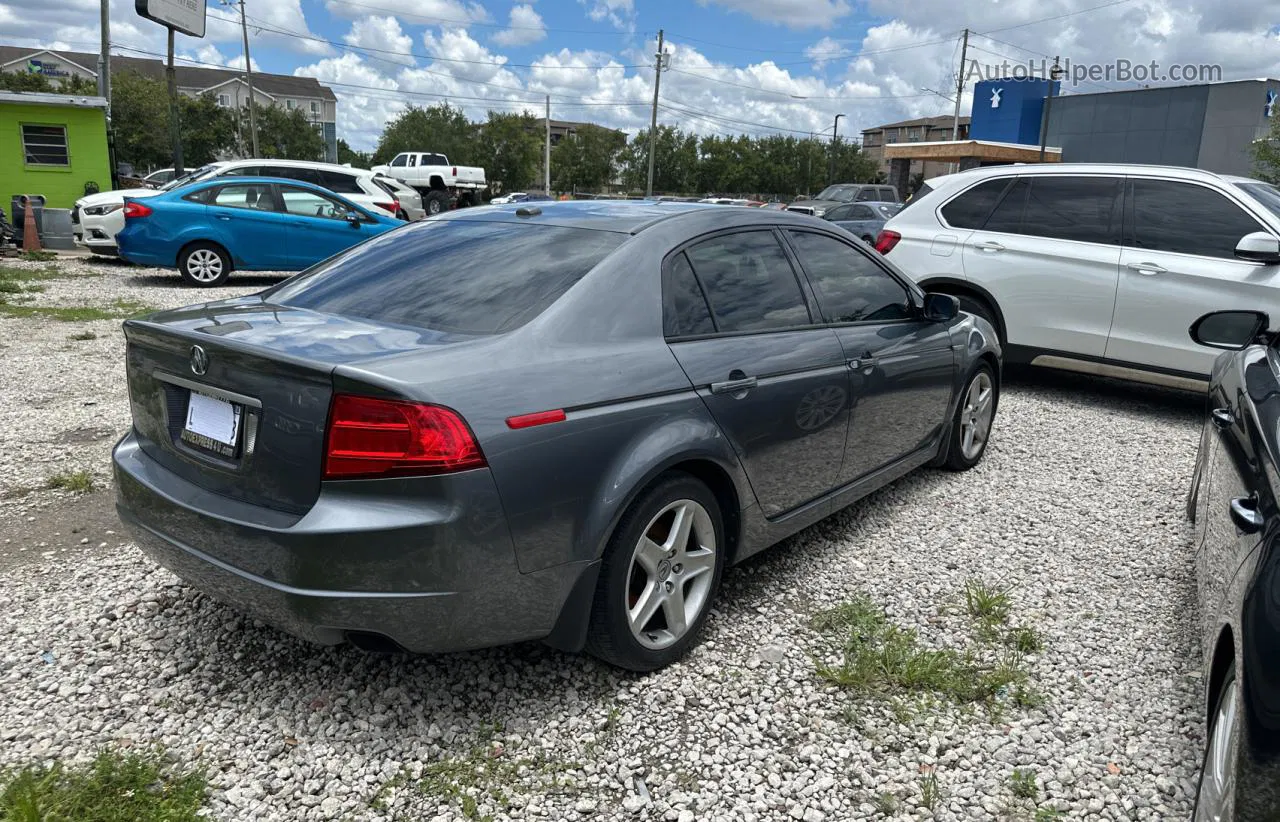 2005 Acura Tl  Gray vin: 19UUA66205A066464