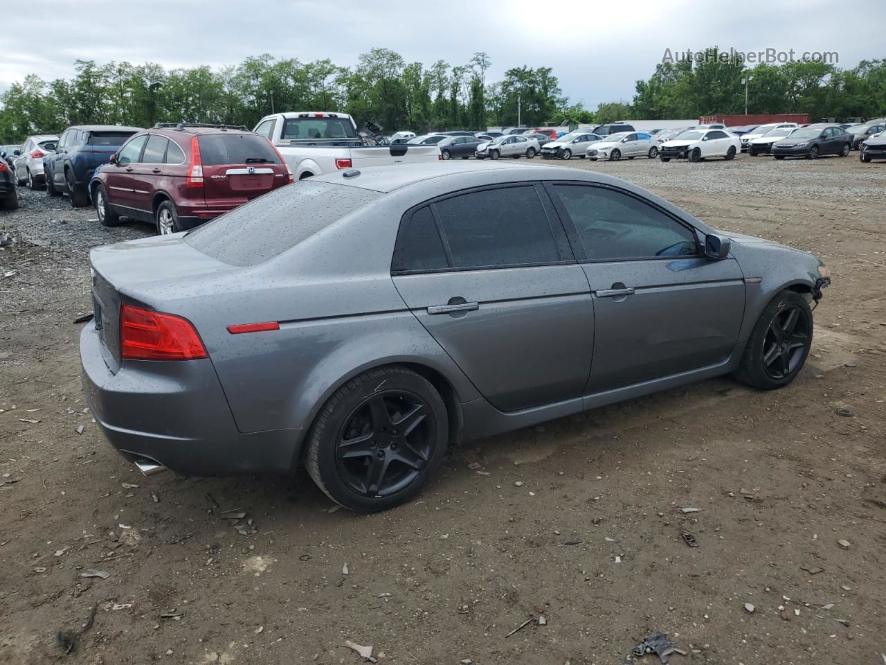 2005 Acura Tl  Серый vin: 19UUA66205A074306