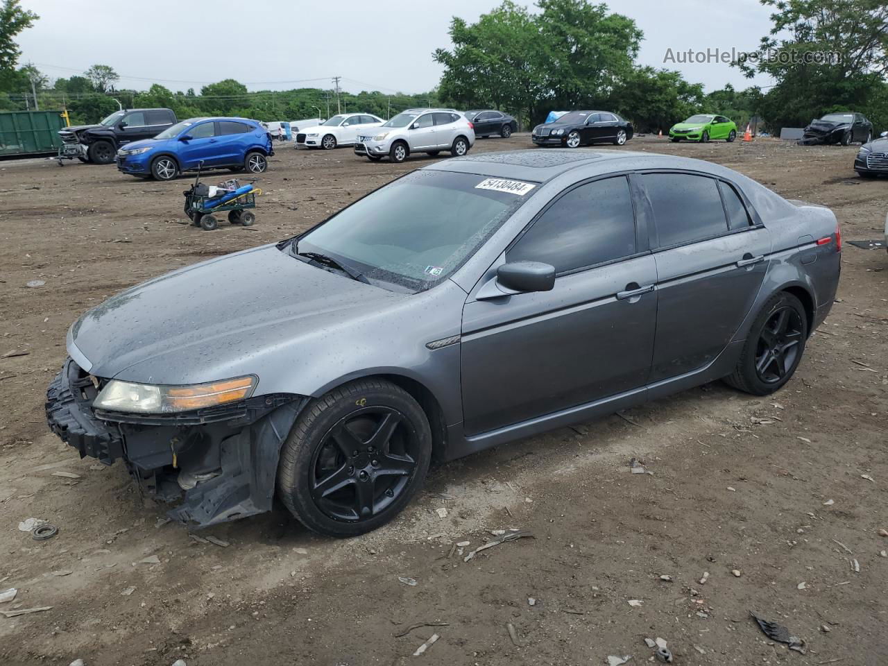 2005 Acura Tl  Gray vin: 19UUA66205A074306