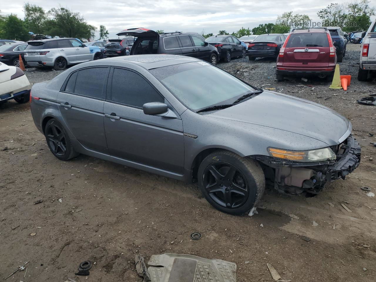 2005 Acura Tl  Gray vin: 19UUA66205A074306