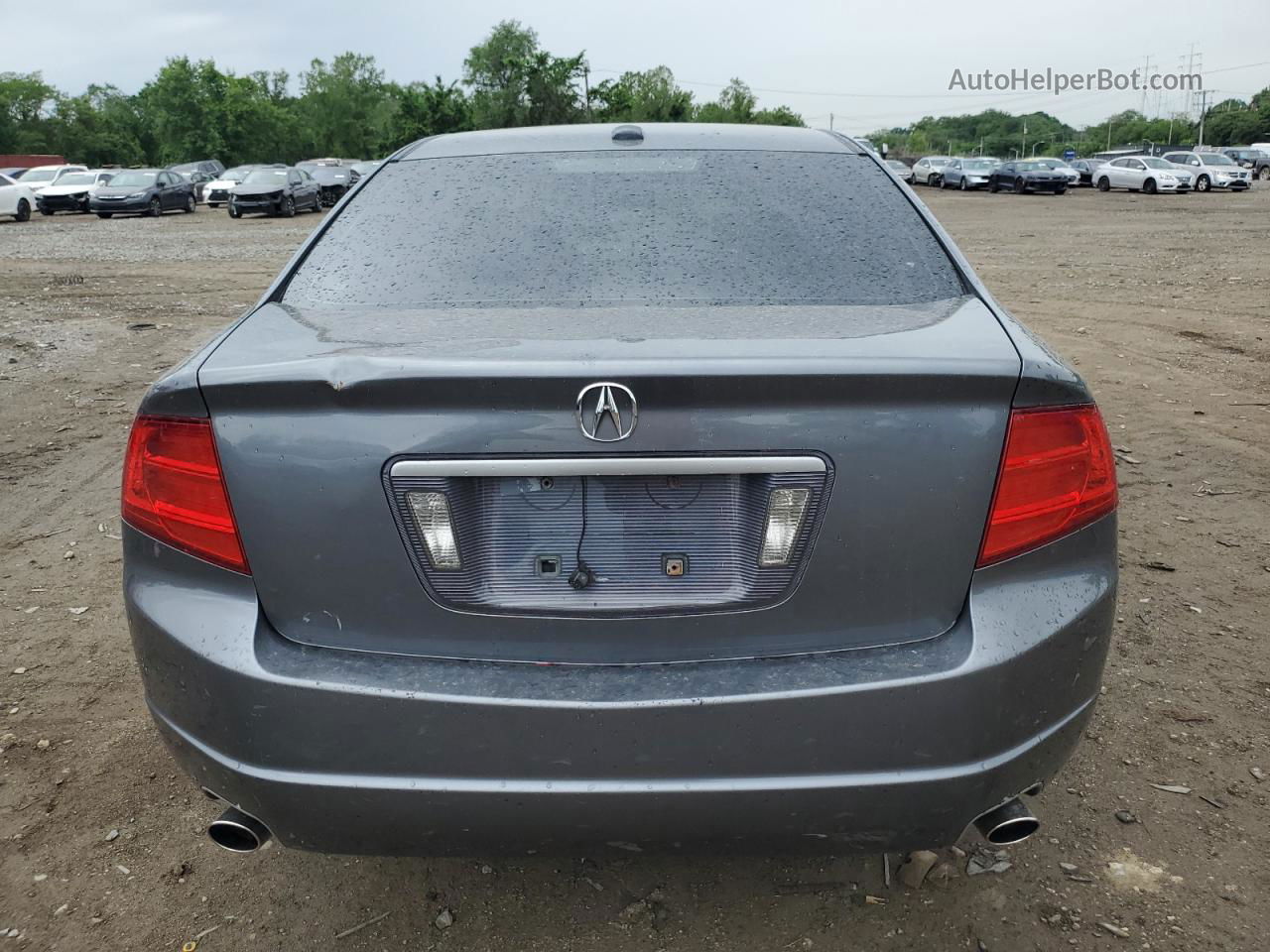 2005 Acura Tl  Gray vin: 19UUA66205A074306