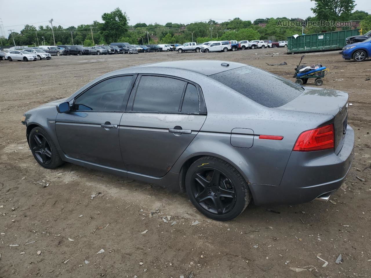 2005 Acura Tl  Gray vin: 19UUA66205A074306