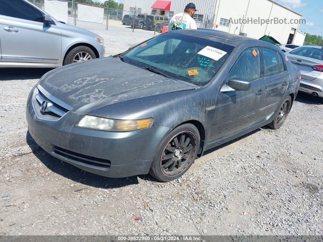 2005 Acura Tl   Pewter vin: 19UUA66205A075259