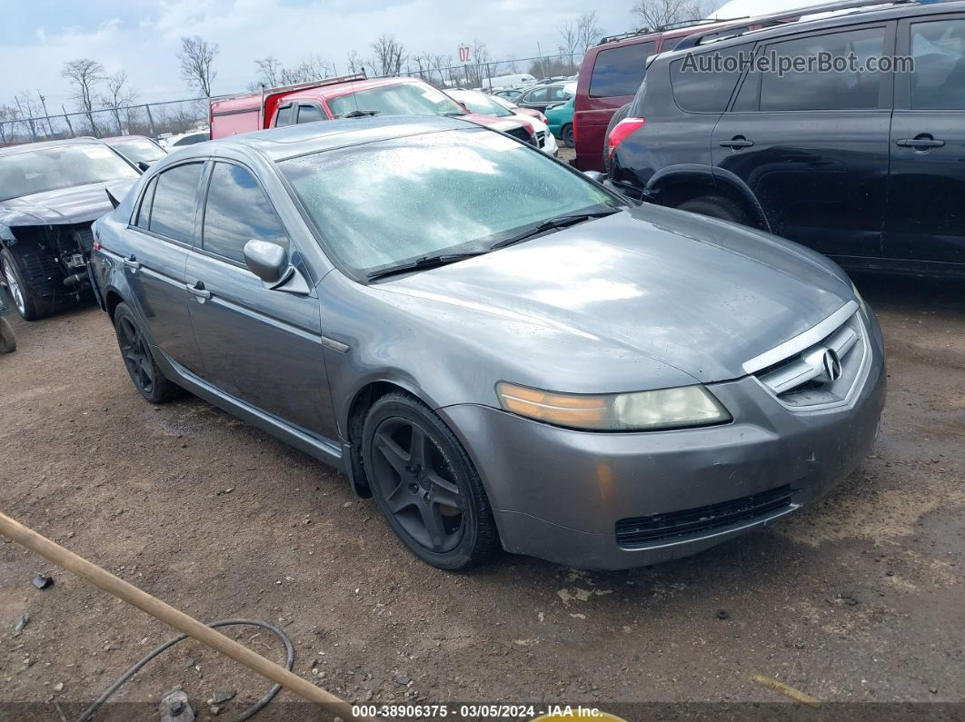 2005 Acura Tl   Серый vin: 19UUA66205A077710