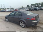 2008 Acura Tl 3.2 Gray vin: 19UUA66208A007015