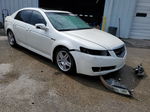 2008 Acura Tl  White vin: 19UUA66208A010013