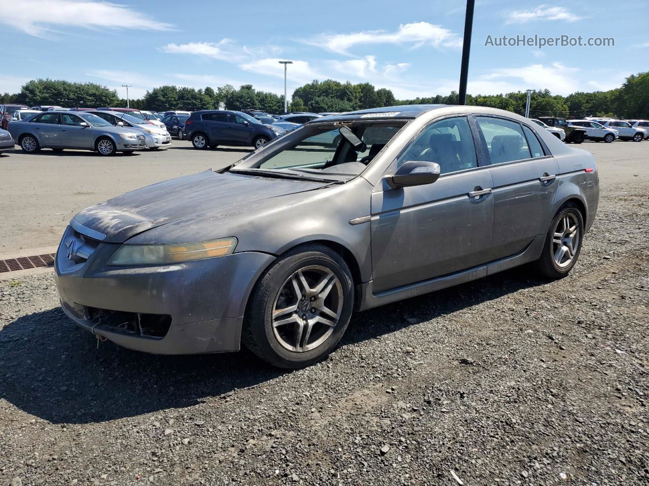 2008 Acura Tl  Gray vin: 19UUA66208A011971