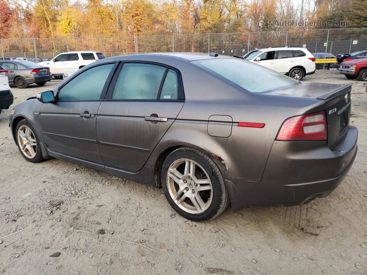 2008 Acura Tl  Серый vin: 19UUA66208A017401