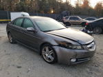 2008 Acura Tl  Серый vin: 19UUA66208A017401