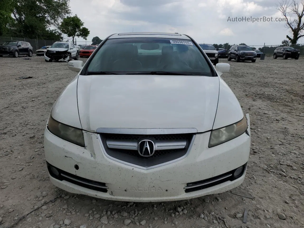 2008 Acura Tl  White vin: 19UUA66208A037342