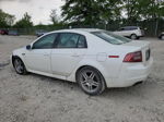 2008 Acura Tl  White vin: 19UUA66208A037342