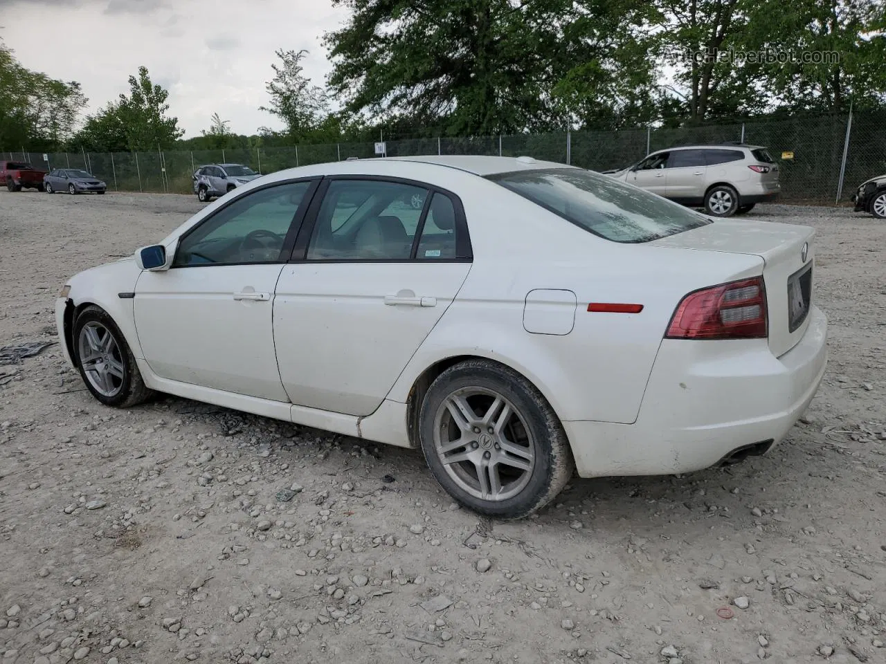 2008 Acura Tl  White vin: 19UUA66208A037342